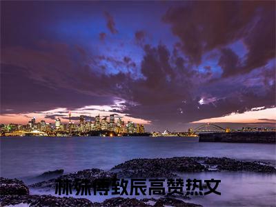 林殊傅致辰小说大结局全文免费阅读-小说排行榜top1小说全文阅读