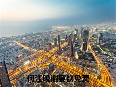 何江晚谢宴钦小说（何江晚谢宴钦）全文免费阅读无弹窗_何江晚谢宴钦高赞小说免费阅读笔趣阁
