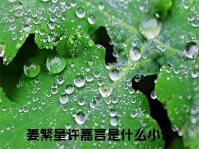 姜繁星许嘉言完结版小说全文在线免费阅读_姜繁星许嘉言最新章节列表_笔趣阁