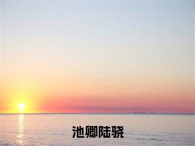 池卿陆骁在线阅读（池卿陆骁）全文无弹窗大结局_池卿陆骁全文在线阅读无弹窗