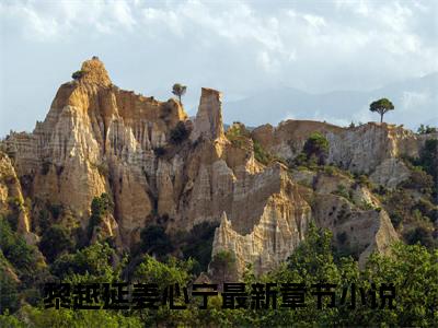 黎越延姜心宁全集小说（黎越延姜心宁）全文免费阅读无弹窗大结局_黎越延姜心宁最新章节列表_笔趣阁（黎越延姜心宁）