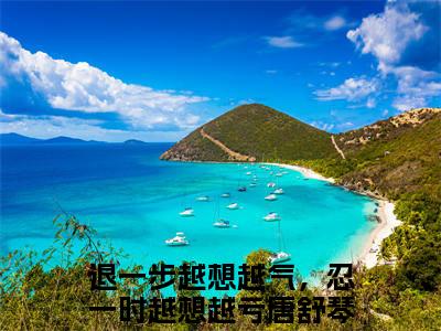 退一步越想越气，忍一时越想越亏唐舒琴小说在线阅读（退一步越想越气，忍一时越想越亏唐舒琴）全文免费阅读无弹窗大结局_退一步越想越气，忍一时越想越亏唐舒琴小说免费最新章节列表_笔趣阁（退一步越想越气，忍一时越想越亏唐舒琴）