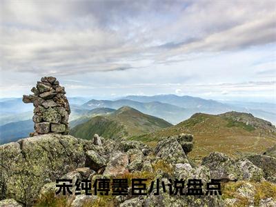 宋纯傅墨臣小说全文（宋纯傅墨臣）-宋纯傅墨臣免费阅读目录