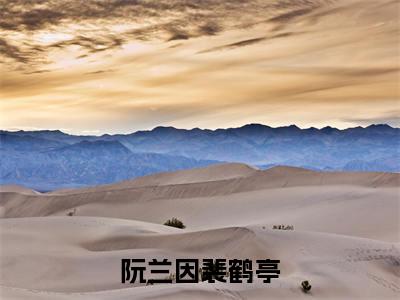 阮兰因裴鹤亭（阮兰因裴鹤亭）全文免费阅读-（阮兰因裴鹤亭无弹窗阅读）最新章节小说免费阅读