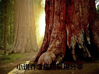 乔念星陆宴琛（乔念星陆宴琛）全文免费阅读无弹窗完整版_ (乔念星陆宴琛免费阅读全文)最新章节列表_笔趣阁（乔念星陆宴琛）