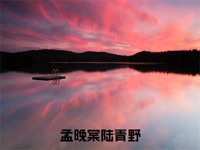 孟晚棠陆青野最新章节（孟晚棠陆青野）小说推荐阅读-新书孟晚棠陆青野精彩阅读