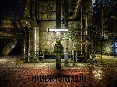 宋怜陆旭川最新完结小说阅读-宋怜陆旭川小说收藏阅读