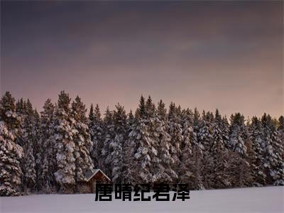 唐晴纪君泽小说（唐晴纪君泽）免费观看-唐晴纪君泽高质量小说推荐阅读