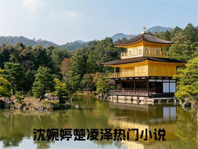 沈婉婷楚凌泽完整版（沈婉婷楚凌泽小说）全文免费阅读无弹窗大结局_沈婉婷楚凌泽最新章节（沈婉婷楚凌泽全文）