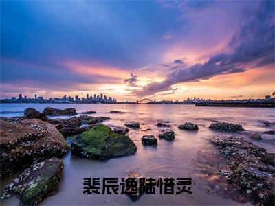 热文裴辰逸陆惜灵在线免费读-裴辰逸陆惜灵的小说（裴辰逸陆惜灵）完整版免费读全文