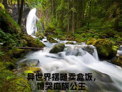 江辰全文免费阅读无弹窗（小说全文免费阅读）异世界摆摊卖盒饭，馋哭血族公主最新章节列表