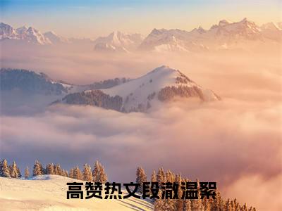 段澈温絮（段澈温絮）热门小说盘点在线阅读-段澈温絮小说无弹窗