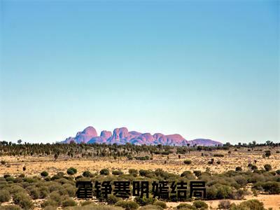 霍铮寒明嫣全文免费阅读无弹窗，霍铮寒明嫣小说最新章节列表无删减_笔趣阁