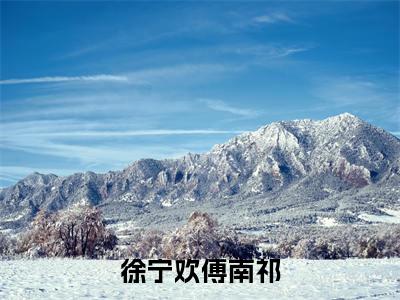 徐宁欢傅南祁小说（徐宁欢傅南祁）全文免费阅读无弹窗大结局_（徐宁欢傅南祁）结局最新章节列表_笔趣阁