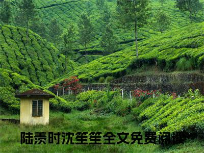 陆羡时沈笙笙免费阅读大结局无弹窗-小说推荐陆羡时沈笙笙精彩章节在线阅读