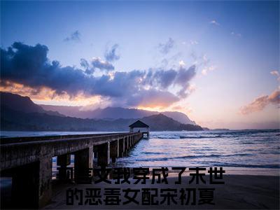 我穿成了末世的恶毒女配宋初夏在线阅读（我穿成了末世的恶毒女配宋初夏）全文免费阅读无弹窗大结局_我穿成了末世的恶毒女配宋初夏免费最新章节列表_笔趣阁（我穿成了末世的恶毒女配宋初夏）
