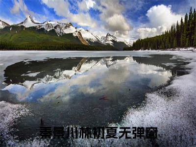 秦景川林初夏全文免费阅读-小说推荐秦景川林初夏精彩章节在线阅读