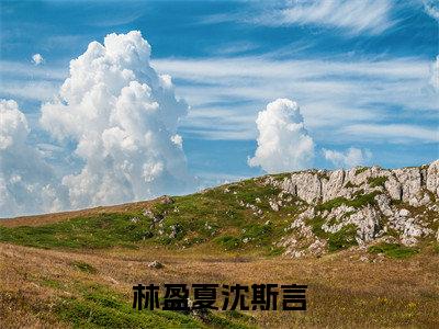 林盈夏沈斯言（林盈夏沈斯言）高质量小说免费阅读_林盈夏沈斯言最新章节列表_笔趣阁