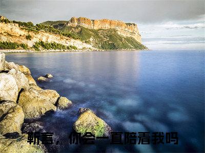 顾靳言叶笙小说（靳言，你会一直陪着我吗）全文在线阅读免费大结局_顾靳言叶笙小说最新章节列表