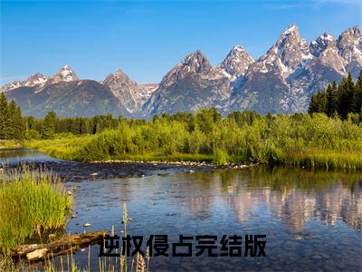 逆权侵占全文免费阅读大结局-逆权侵占最新章节免费阅读大结局