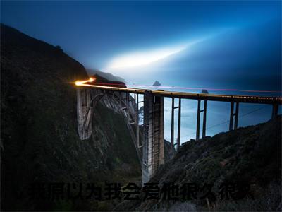 我原以为我会爱他很久很久（段臻）在线阅读小说全文无删减-段臻小说大结局
