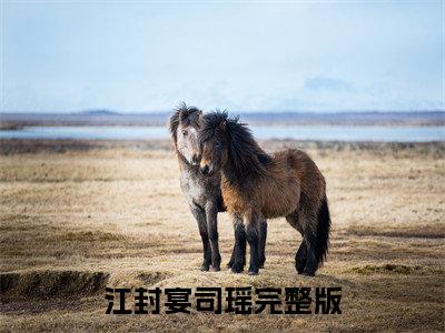 江封宴司瑶全文免费阅读无弹窗-（江封宴司瑶在线阅读）江封宴司瑶最新章节列表笔趣阁