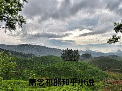 萧念祁邵小说全文大结局-萧念祁邵（娇宠臣服）小说全文免费阅读