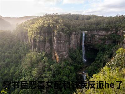 孟若曦时宴今穿书后恶毒女配和残疾反派he了全文完整版-穿书后恶毒女配和残疾反派he了小说在线阅读