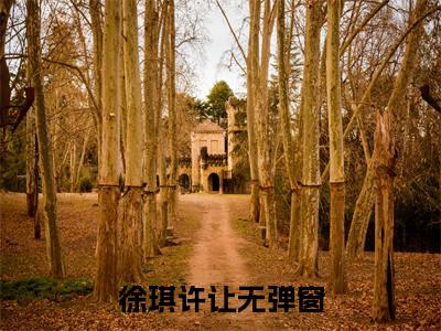 徐琪许让全文免费阅读无弹窗大结局_徐琪许让最新章节列表笔趣阁