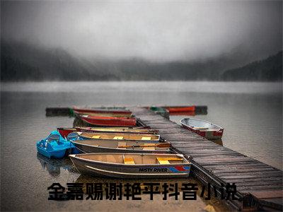 小说（金嘉赐谢艳平）免费阅读-小说（金嘉赐谢艳平）无弹窗大结局 金嘉赐谢艳平全文在线赏析最新章节列表_笔趣阁