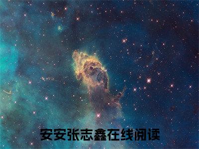 【新书】《安安张志鑫》安安张志鑫全文全章节免费阅读