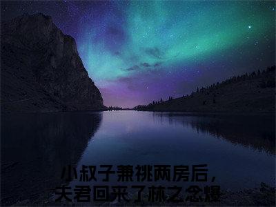小叔子兼祧两房后，夫君回来了林之念小说(小叔子兼祧两房后，夫君回来了林之念)全文免费阅读无弹窗大结局_小叔子兼祧两房后，夫君回来了林之念小说免费阅读无弹窗最新章节列表_笔趣阁