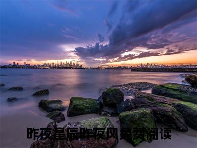 昨夜星辰昨夜风是哪部小说的主角-沈琰温沁（昨夜星辰昨夜风）全文无弹窗完整版阅读沈琰温沁