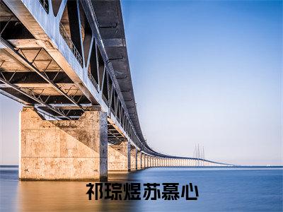 祁琮煜苏慕心(祁琮煜苏慕心)全文免费阅读-祁琮煜苏慕心最新章节阅读
