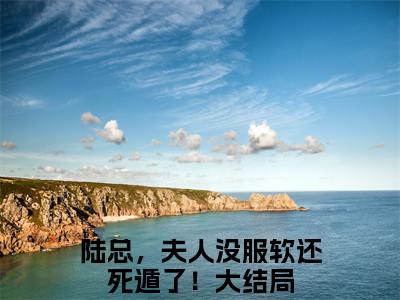 陆总，夫人没服软还死遁了！（陆铮沈沐漓）全文免费阅读无弹窗_陆铮沈沐漓最新小说_笔趣阁