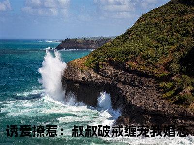 阮皓晟沈七七全文免费在线阅读_（诱爱撩惹：叔叔破戒缠宠我免费阅读无弹窗）阮皓晟沈七七全文免费完结版阅读