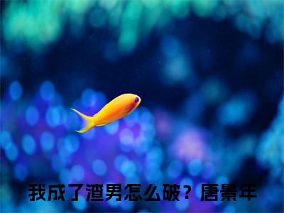 我成了渣男怎么破？唐景年（我成了渣男怎么破？唐景年小说）全文免费阅读无弹窗大结局_我成了渣男怎么破？唐景年小说最新章节列表_笔趣阁（我成了渣男怎么破？唐景年）