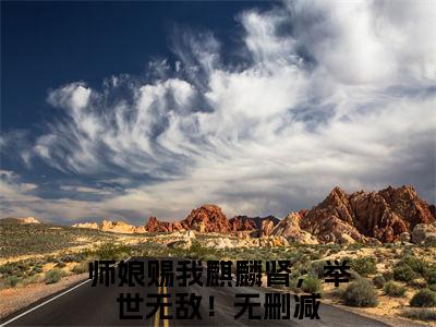 叶风（师娘赐我麒麟肾，举世无敌！）全文在线阅读无弹窗_叶风小说全文大结局