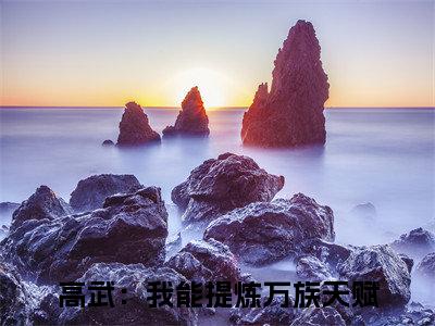 冯孜（高武：我能提炼万族天赋）小说全文免费阅读无弹窗_（高武：我能提炼万族天赋）冯孜小说全文免费阅读最新章节列表笔趣阁