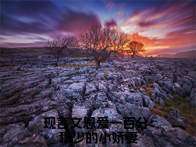 慕倾雪（恩爱一百分：穆少的小娇妻）全文免费阅读_慕倾雪（恩爱一百分：穆少的小娇妻）最新章节小说免费阅读