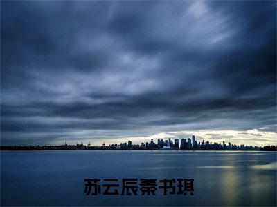 苏云辰秦书琪大结局免费阅读 苏云辰秦书琪全文小说