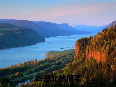 七零军婚，炮灰女带着空间嫁男配（肖楚北林筱若）免费小说-七零军婚，炮灰女带着空间嫁男配小说完整版阅读