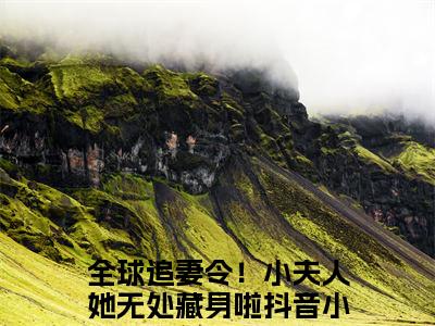 全球追妻令！小夫人她无处藏身啦全文（云栀意厉阈野）完整版小说阅读无删减_（云栀意厉阈野）全球追妻令！小夫人她无处藏身啦全本列表免费笔趣阁