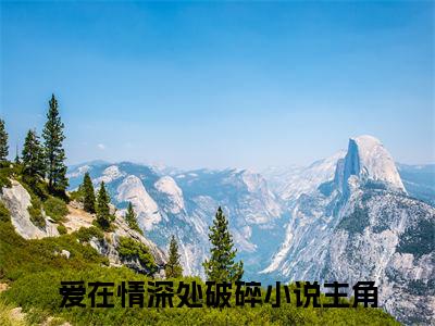 傅司年叶依纯小说-《爱在情深处破碎》完整章节阅读无弹窗免费阅读大结局