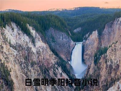 白雪明季阳（白雪明季阳）最新热门小说-白雪明季阳免费阅读