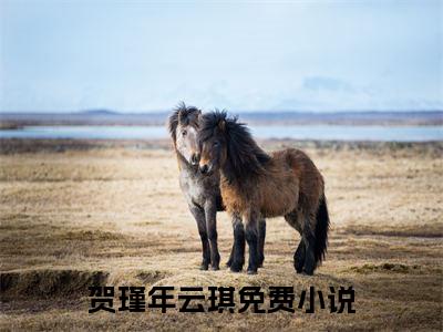 贺瑾年云琪全网首发小说-贺瑾年云琪无广告免费试读