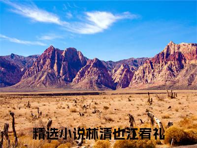 林清也江宥礼(林清也江宥礼)全文免费阅读无弹窗大结局_(林清也江宥礼)小说免费阅读无弹窗最新章节列表