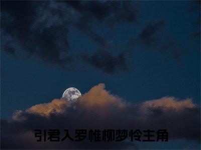 引君入罗帷柳梦怜（引君入罗帷柳梦怜）全文免费阅读无弹窗大结局_引君入罗帷柳梦怜全文阅读_笔趣阁（引君入罗帷柳梦怜）