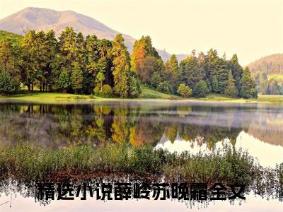薛岭苏晚霜（薛岭苏晚霜）全文免费阅读无弹窗大结局_(薛岭苏晚霜)免费阅读无弹窗最新章节列表