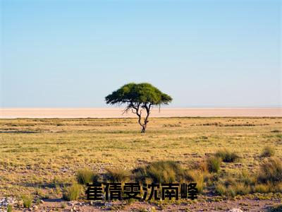热门榜单精彩小说崔倩雯沈南峰，崔倩雯沈南峰推荐小说免费章节阅读